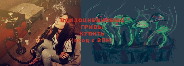 apvp Алексин
