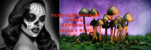 apvp Алексин