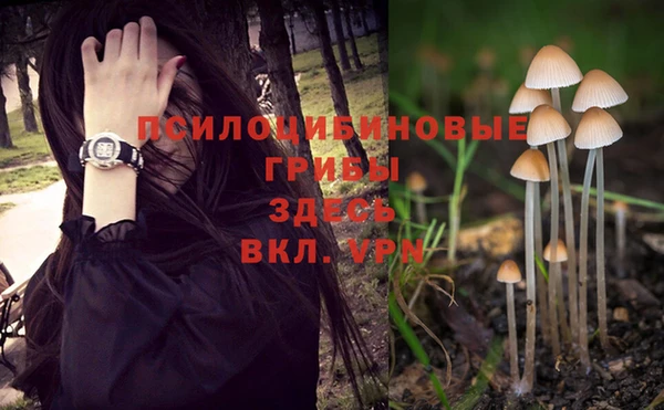 apvp Алексин